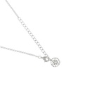 Kai Shell Necklace - Small
