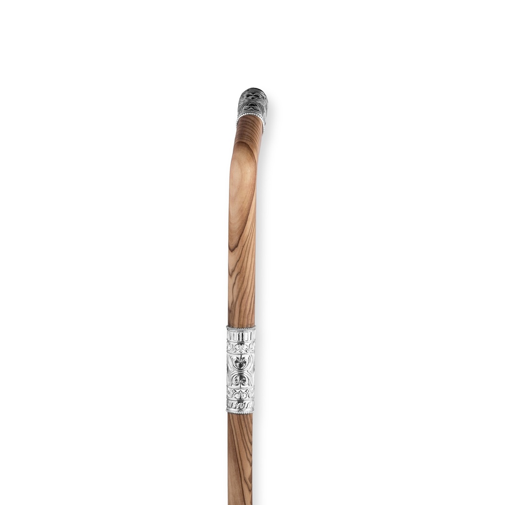 Walking Stick