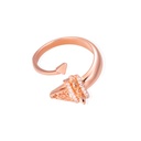 Zayan's Rose Gold Plated - Silver Ring - Single (ZC45)