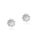 Zircon Set (ZS20)
