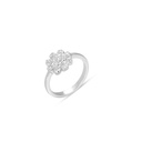 Zircon Set (ZS20)