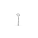 Zircon Ring (ZR455)