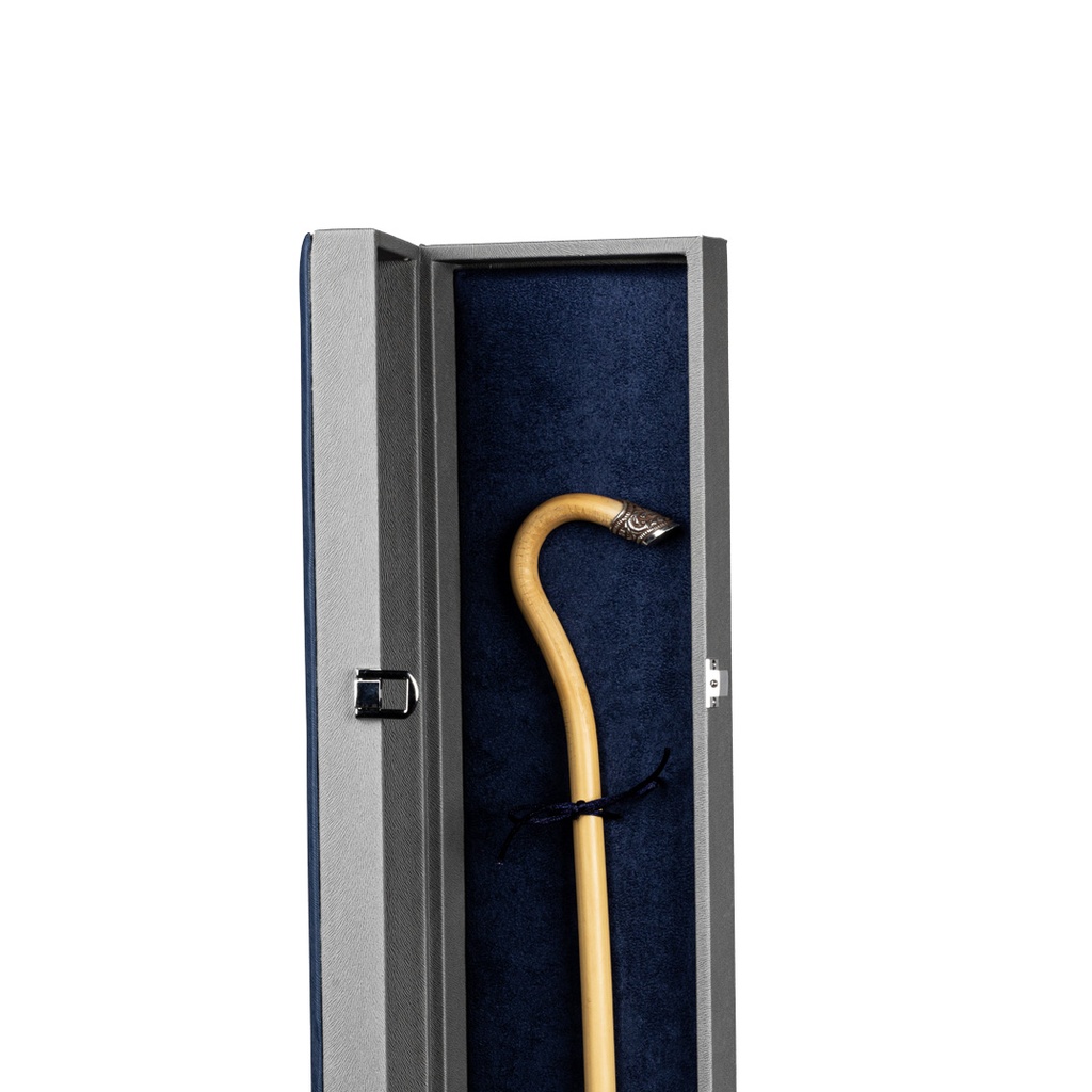 Walking Stick