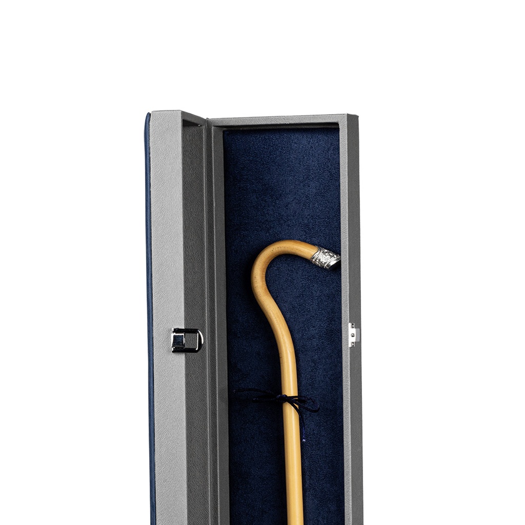 Walking Stick