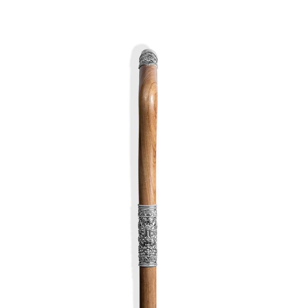 Walking Stick