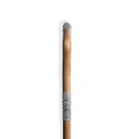 Walking Stick