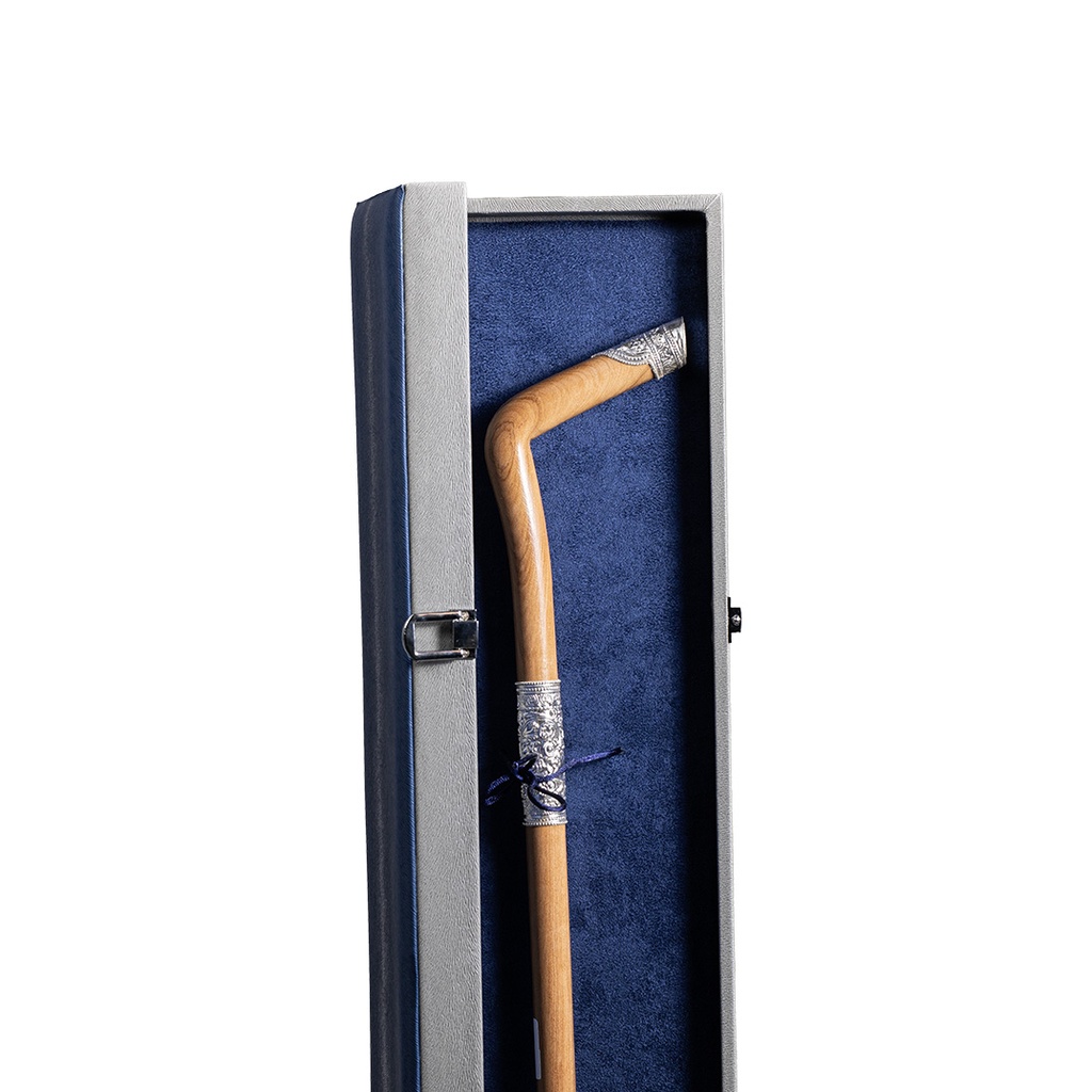 Walking Stick